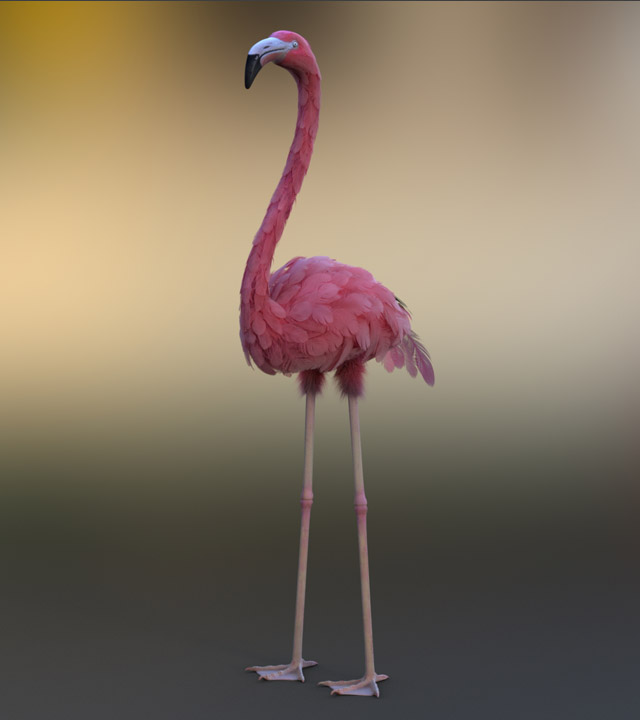 Flamingo Rigging